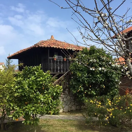 ホテル Moran Playa 3*