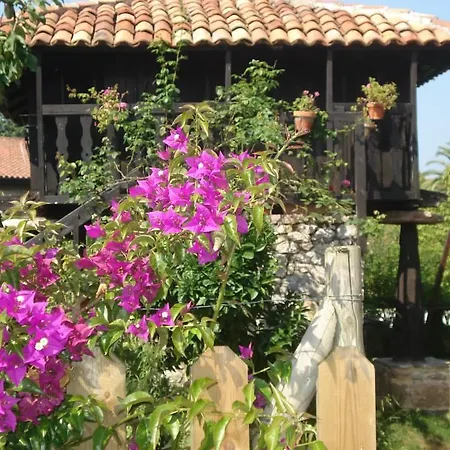 ホテル Moran Playa 3*