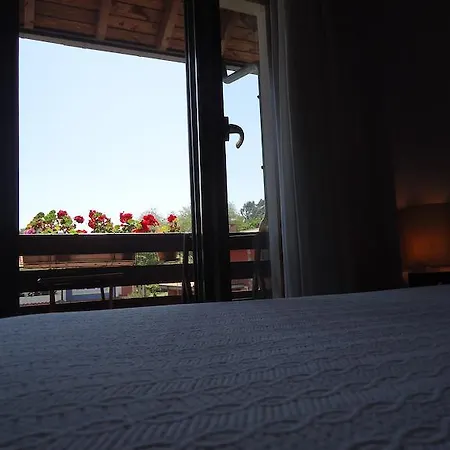 Отель Moran Playa 3*