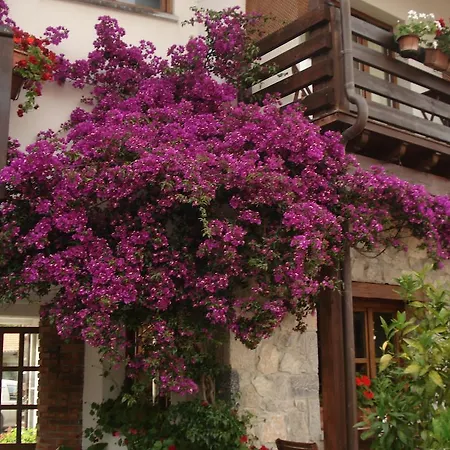 Hotel Moran Playa