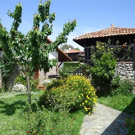 Отель Moran Playa Селорио