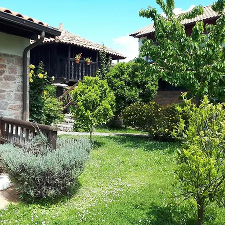 Отель Moran Playa