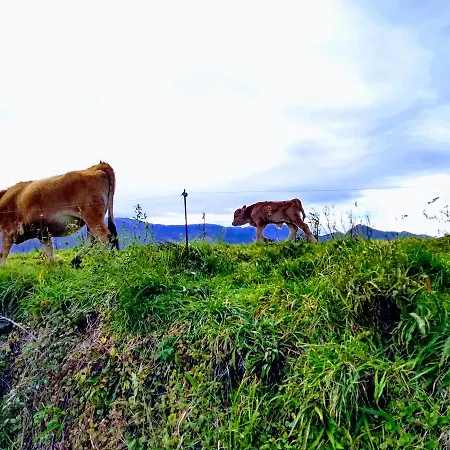 Moran Playa 3* Селорио