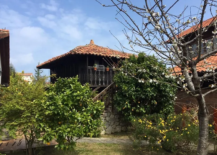 Hotel Moran Playa 3*