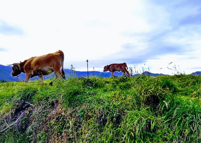 Moran Playa 3* Celorio (Llanes)